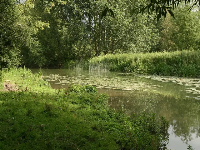 Reducing Agricultural Pollution Aids in the Recovery of Virginia's Creek