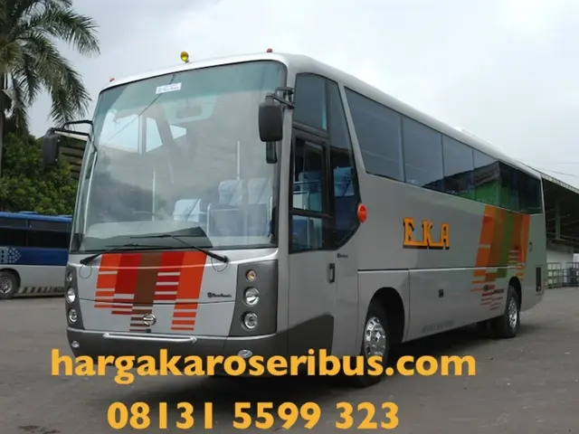 New forest leisure spots introduced in Kamchatka region