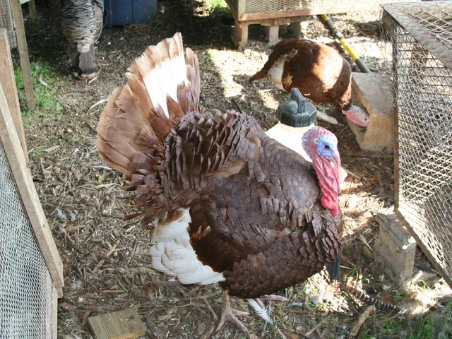 Detecting Contamination in Compost or Mulch: A Guide