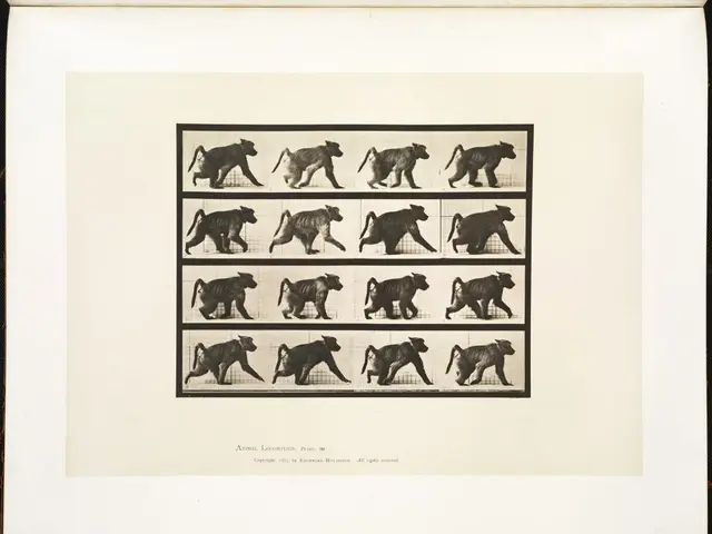 Year's Most Popular Animal Videos Going Viral