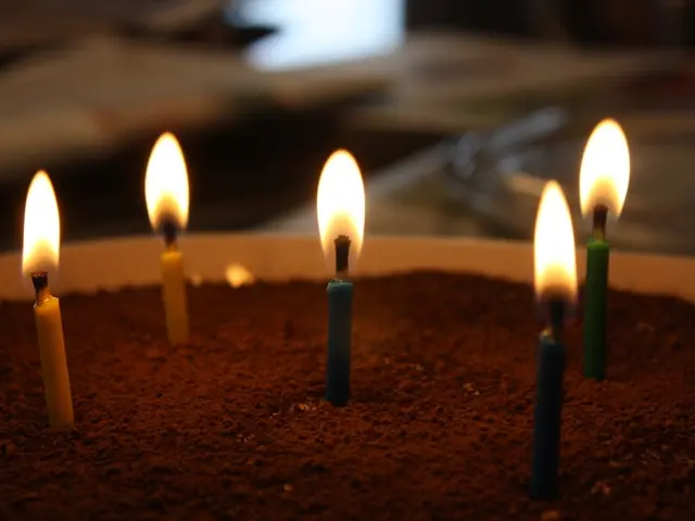 Summer's Quintessential Aroma: Top Picks for Scented Candles Featuring Tomato Scents