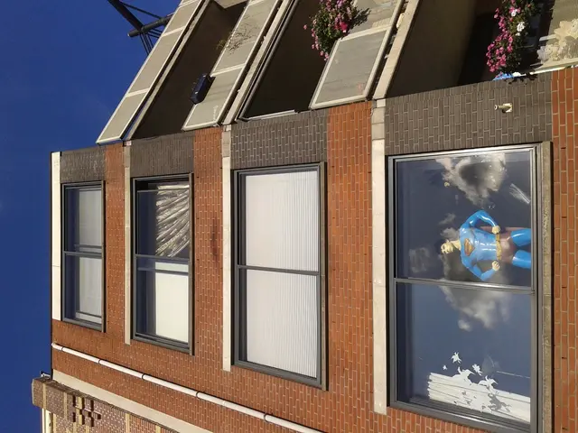 Housewarming Gift Ideas: 8 Plants That Make Great Choices