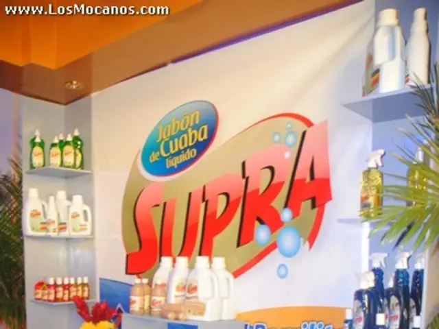 Brand Experience Fundamentals: Definition and Importance Explained