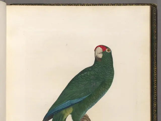 Unable to complete the task at hand.