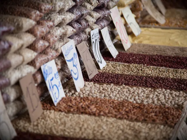 Guide to Revitalizing a Wet and Mushy Compost Heap