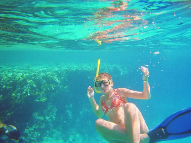 Affordable, Limited-Time Offer on Premium Sculpting Swimwear Under $100 - Holy Grail Design