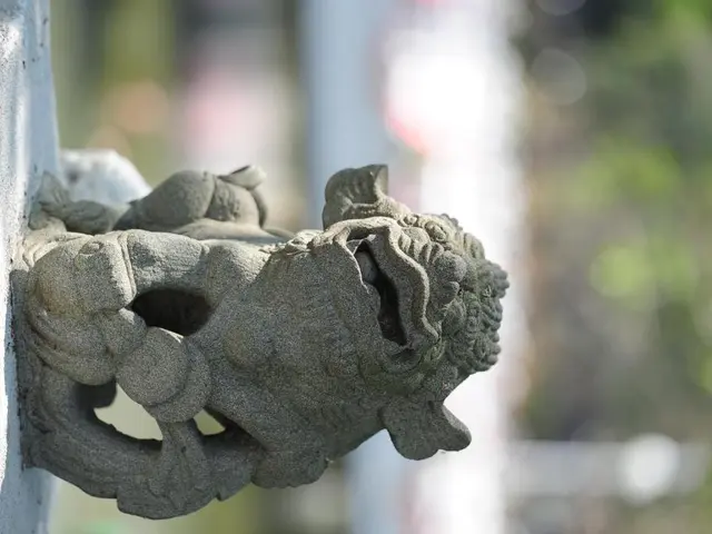 Bonsai Photography Contest: Showcasing Aesthetics and Skills in Imaging