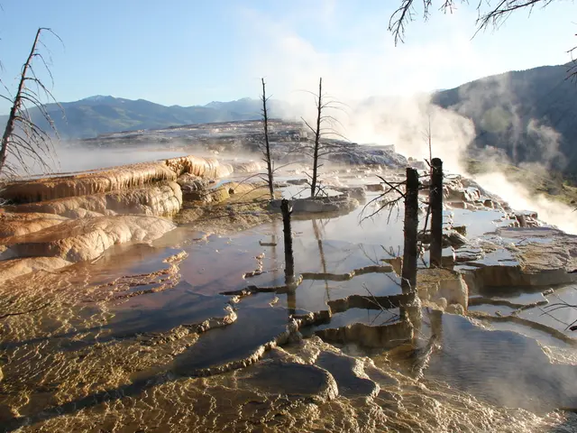 Scenic U.S. Hikes for Your Road Trip: Discover the Top 17 Trails