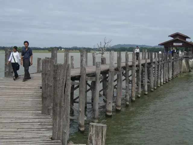 Investigating Your Online Presence