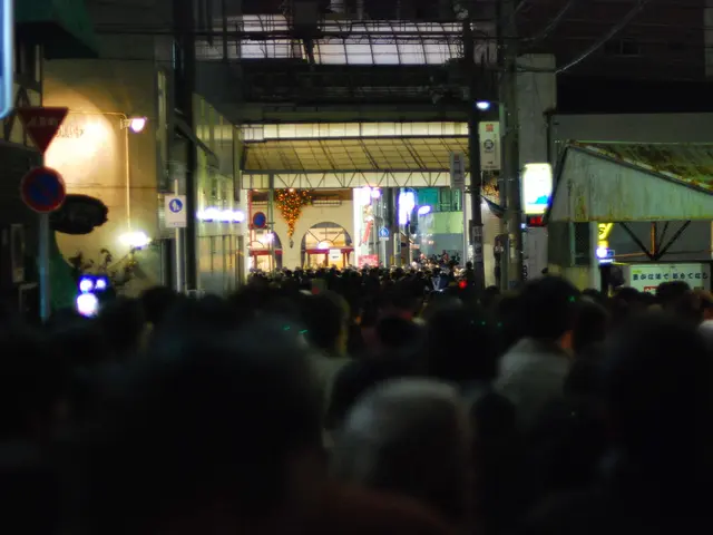 Transform a Tranquil Area with Hedges Exhibiting Sound Absorption from Permaculture
