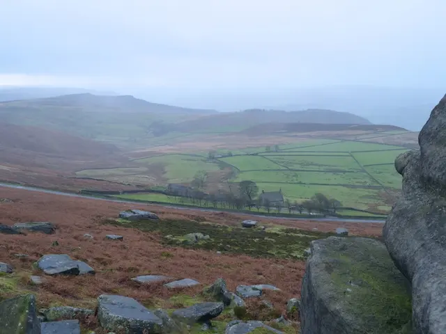 Honoring Matariki Amidst Nature's Beauty
