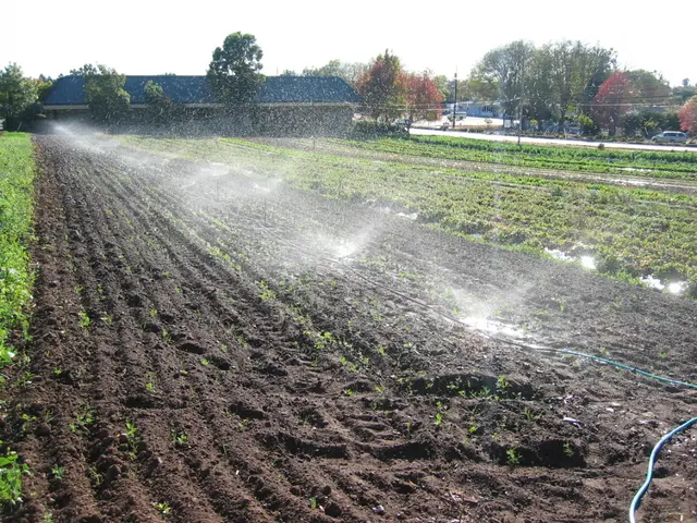 Preventing irrigation system breakdowns: strategies for success.