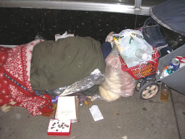 Guide for Picking Ideal Packaging for Your Online Business!