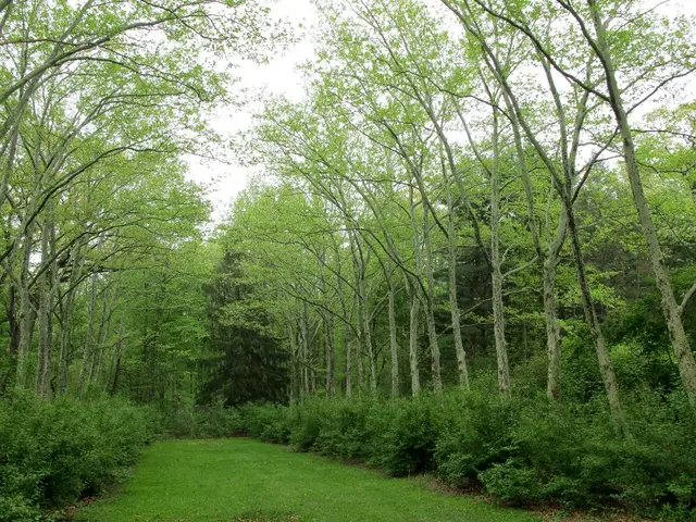 Reducing Your Carbon Impact: Proven Strategies for Decreasing Your Carbon Emissions (Part 1/2)