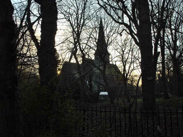 Household tasks that inhabitants find most bothersome brought to light