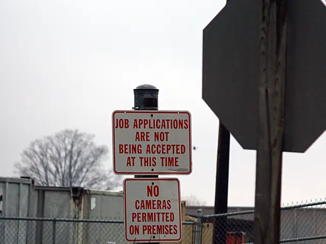 Urgent Strategies for Securing Your Tomato Harvest in July-August: A Look at 5 Essential Methods