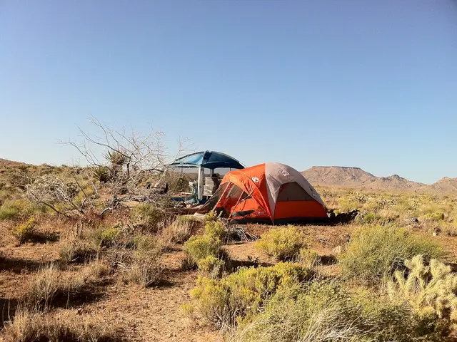 Outdoor Recreational Events at Summer Nature Camps