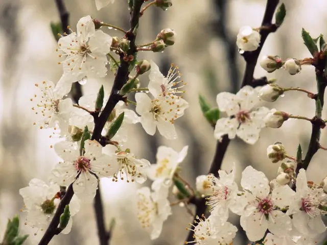 Vibrant Hanging Plants to Elevate Your Space! Explore 8 Spectacular Dripping Plants for...