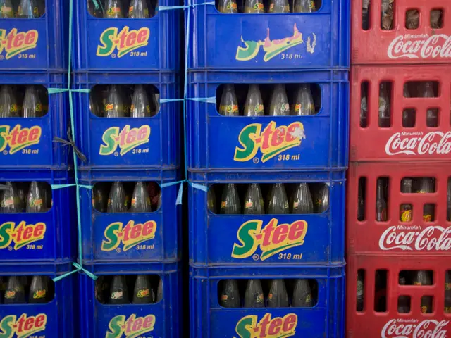 Expanding Your World? Tips for Selecting a Spacious Terrarium Vessel