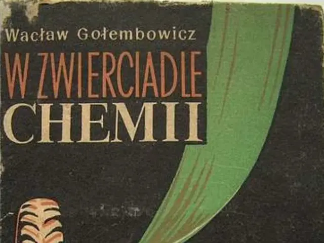 Creative Tire Artworks Showcasing Brilliance