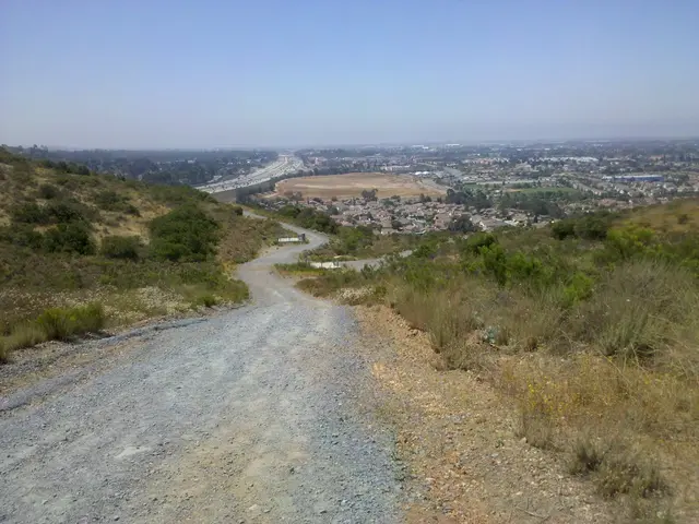 Vibrant gardens replacing drab patios