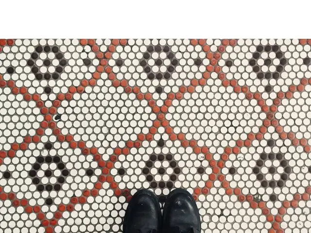 The European Commission has unveiled a fresh plan to encourage widespread adaptation of the...