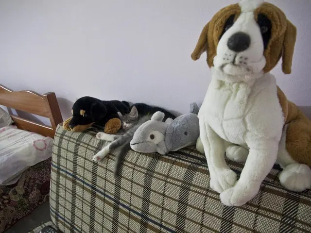 Refreshed Design: Swyft Gives Classic Morris & Co. Homeware Patterns a Contemporary Twist, Boosting...