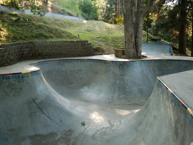 Creating personal, nature-inspired swimming ponds is my profession, and these are the insights...