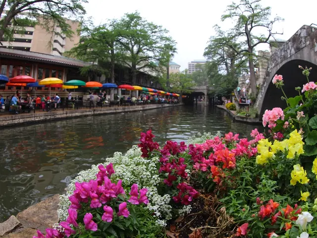 Exploring the Tranquil Canalside of Al Raha in Abu Dhabi: Uncovering its Unique Charm
