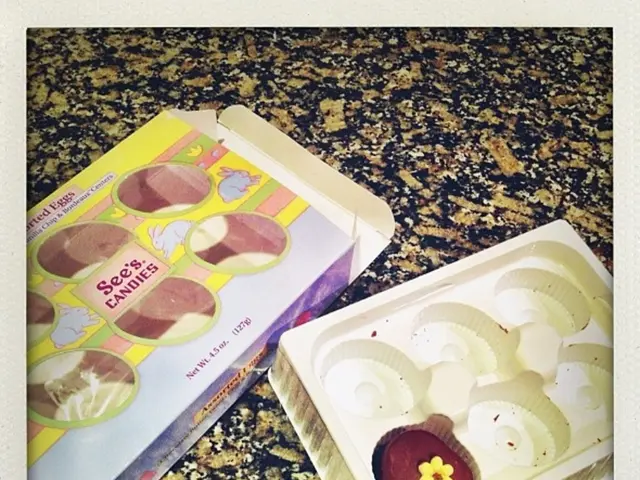 Thirty-two creatures are currently under care: Meckelfeld Animal Sanctuary marks its initial...