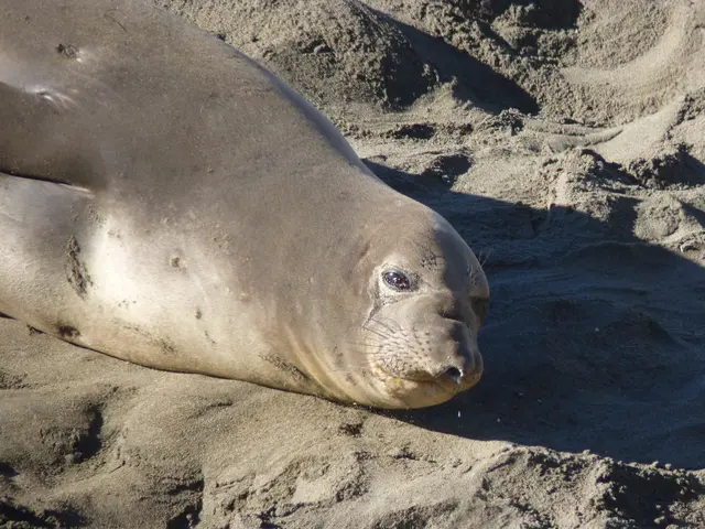 Steer Clear of Frequent Blunders During the Process of Pavement Sealing
