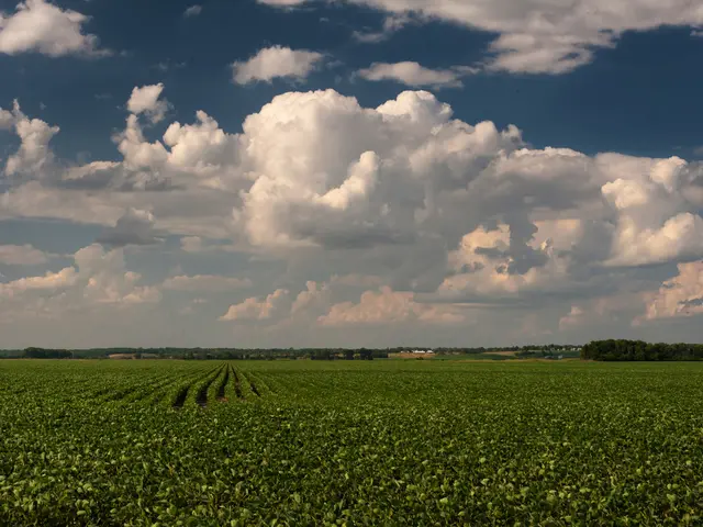 Environmental Consciousness Reshaping Cinematic Landscape in Contemporary Movie Making