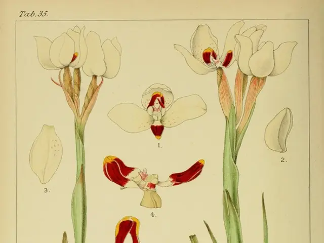 "The debut edition of the online publication titled 'No Bees, No Life' magazine has been released"