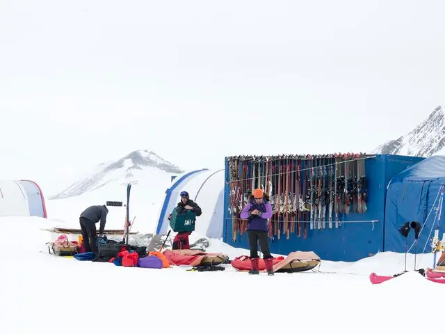 Avert Your Attention to Spring Avalanches in the Valley Basin