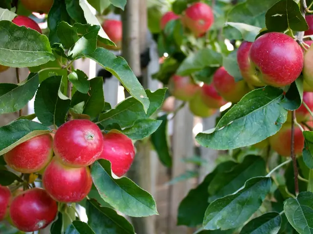 Best Time for Apple Tree Planting in Ohio: A Comprehensive Guide to Maximizing Tree Growth across...
