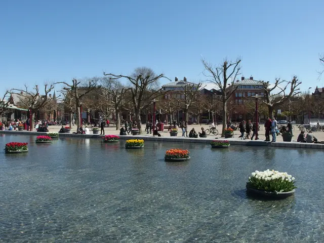 Preparing Your House for La Niña: A Guide