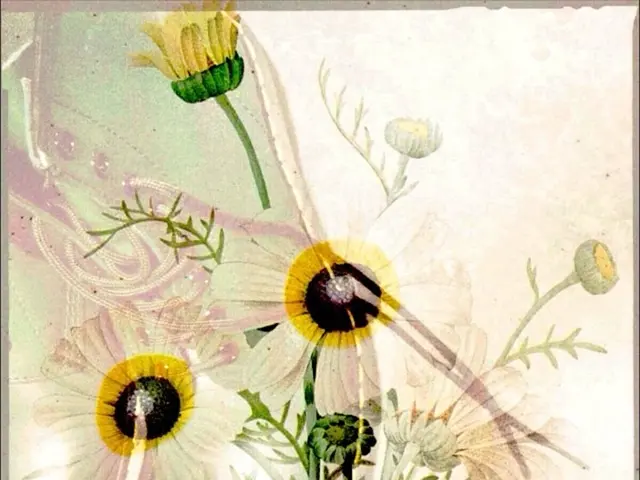 Spring Garments Companion: 27 Shoe Styles Designed for Matching with Springtime Gowns