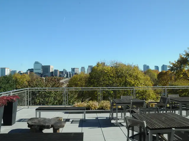 Financial Investment for Transforming an Established Restaurant Setting