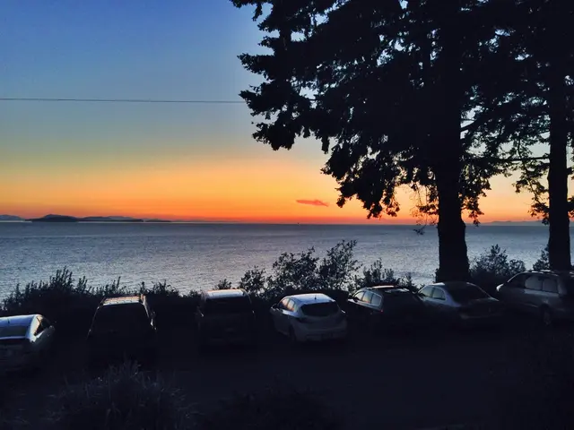 Various Edible Roots and Leafy Greens Not Including Potatoes or Corn