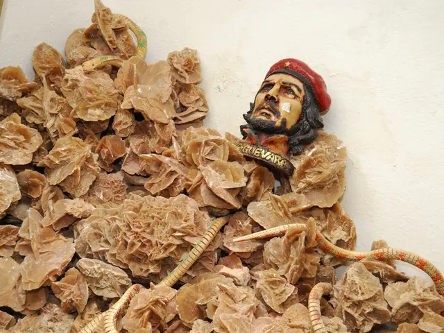 Favorite Image Selection: Which image will be the preferred one for publication?