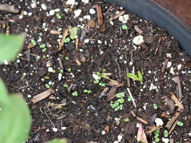 Understanding Soil Health: Key Approaches and Techniques for Soil Assessment