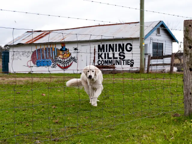 Debating Whether to Invest or Prematurely Settle Your Residential Mortgage?