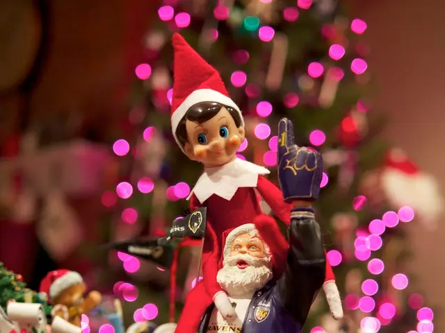 Opt for a sustainable holiday season by renting a live Christmas tree instead of buying a...