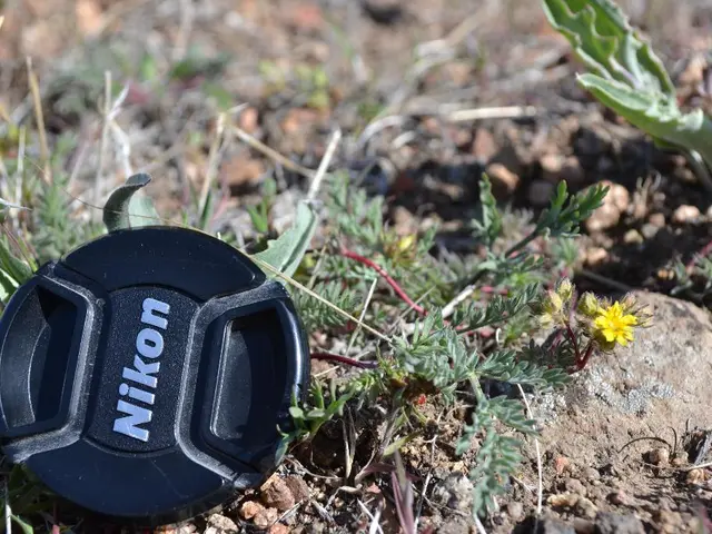 Former scientist turned gardener discusses sugar's potential benefits for a verdant and thriving...