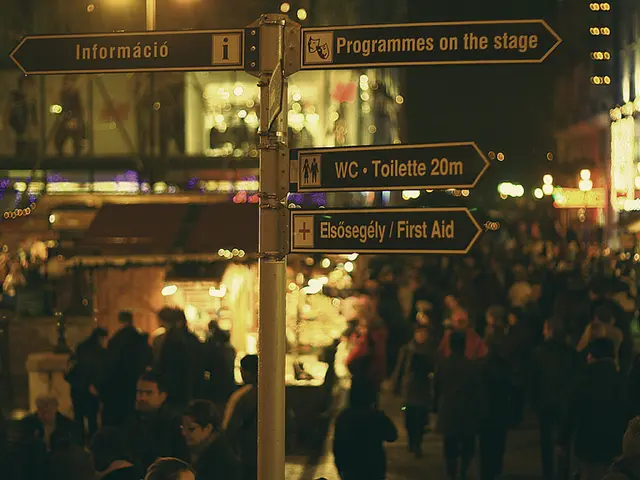 Redirecting Viewpoints: Travel Agency Developments in Moving Services