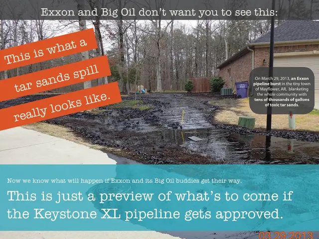 Active Organisms Within Your Compost Heap: Identification and Role