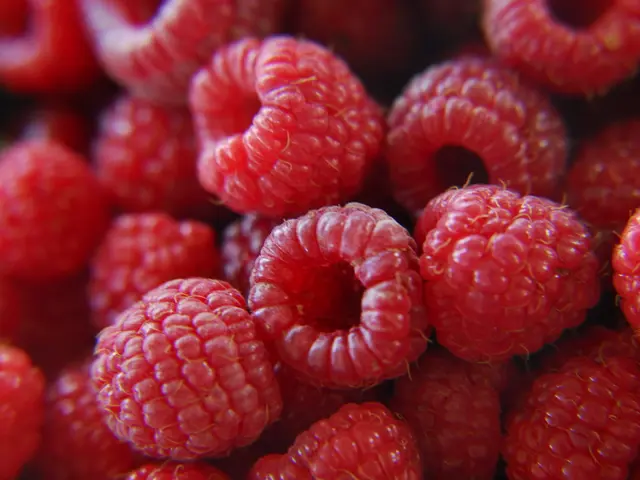 Techniques Assured by a Horticulture Specialist for a Plentiful Raspberry Harvest: Secrets to a...