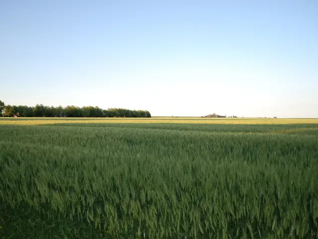 Unveiling Ireland's Agricultural Heroes: The Realm of Moral Crop and Livestock Production
