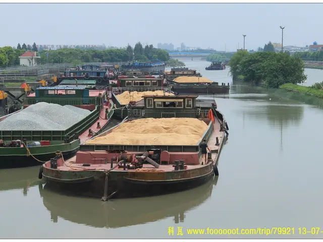 Marina's Latest Playground Installation