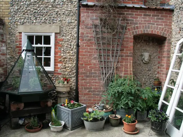 Instructions for Indoor Sowing of Zinnia Seeds